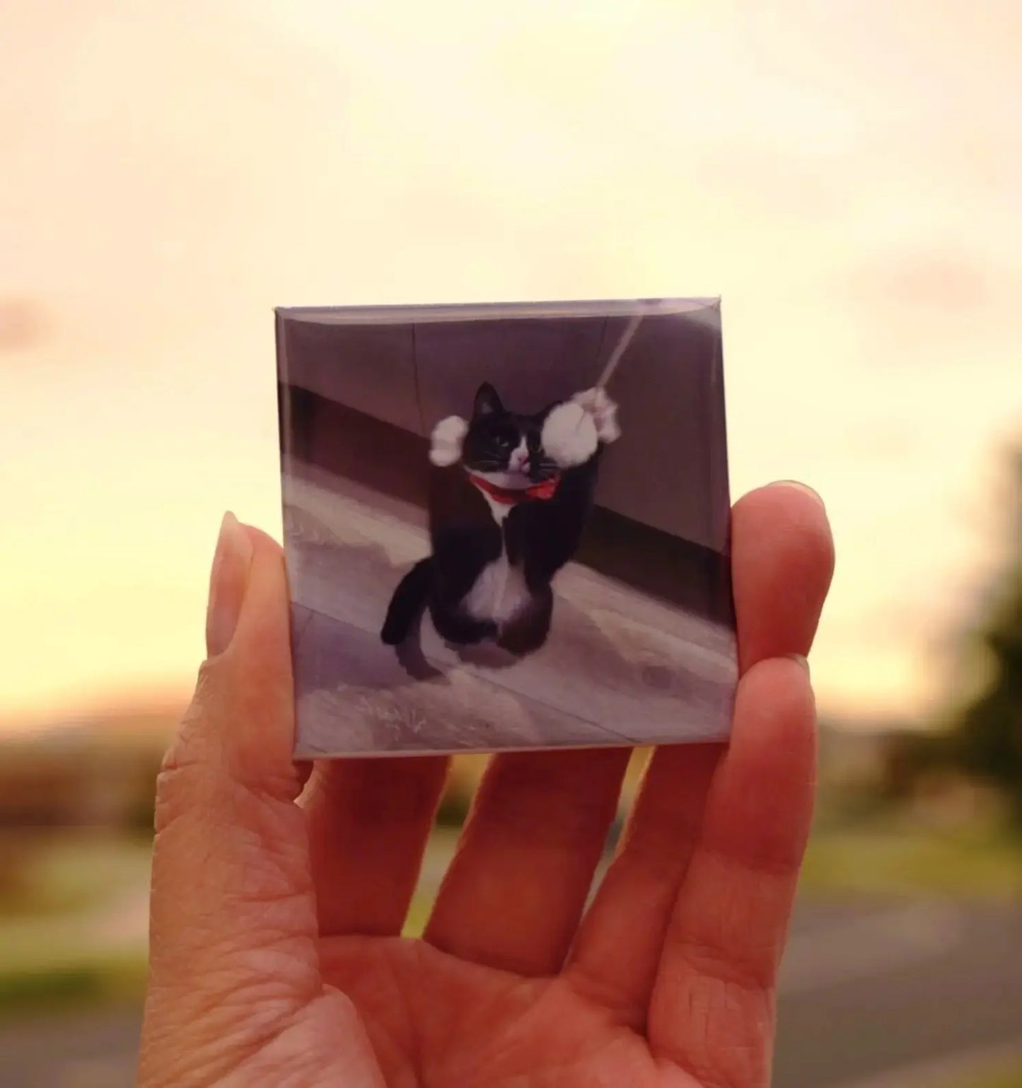 Custom Photo Fridge Magnet - MiniCharms - Acrylic Square Magnets - MiniCharms