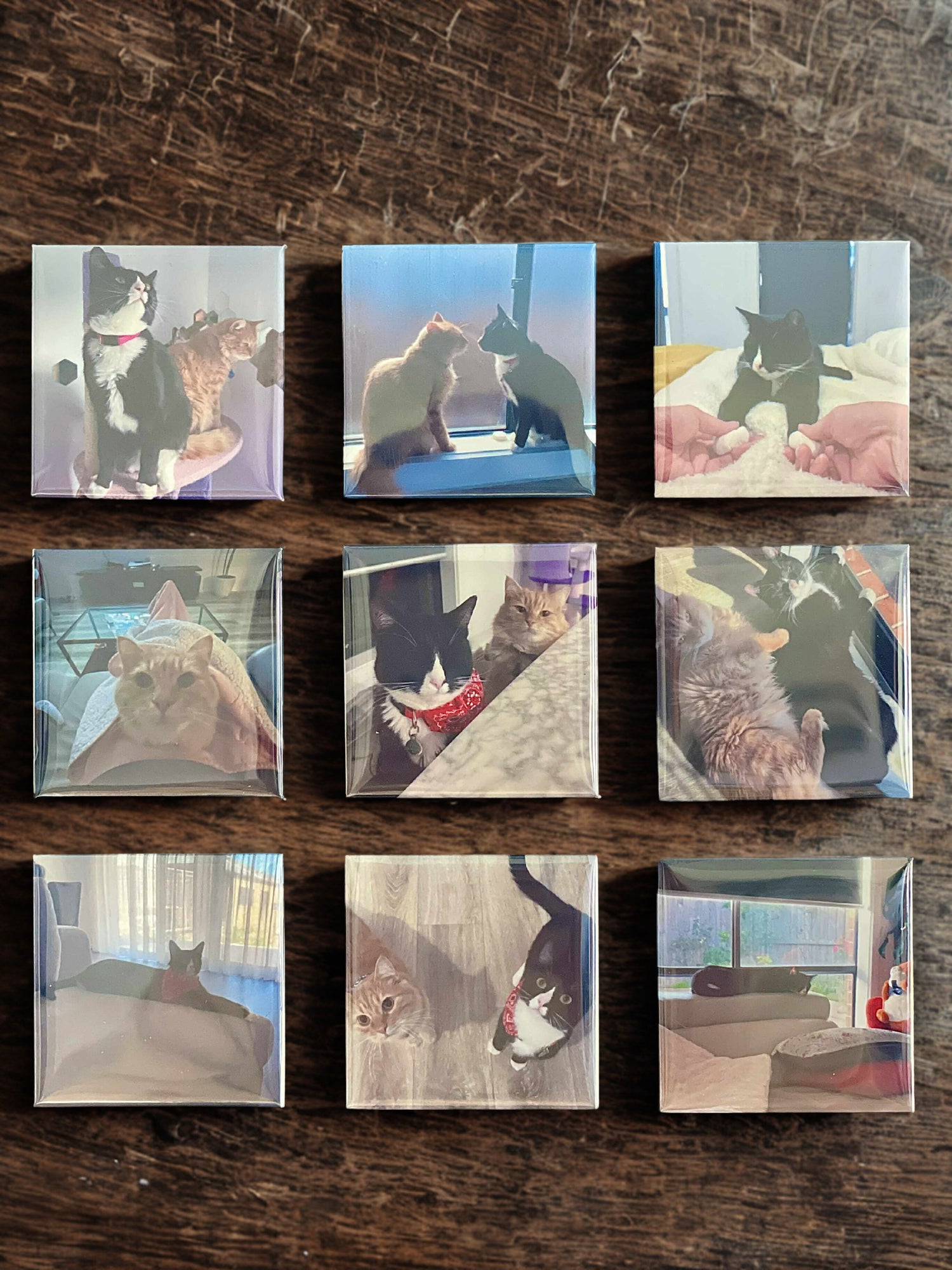 Set of small square notebooks with cat photo magnet collection on a wooden surface