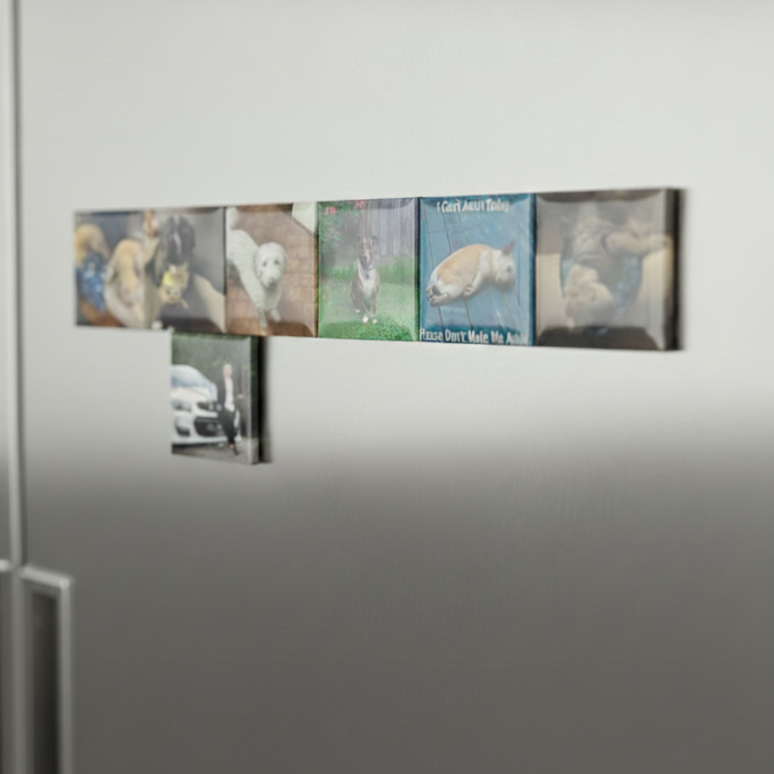 photo fridge magnets with dog and family photos decor