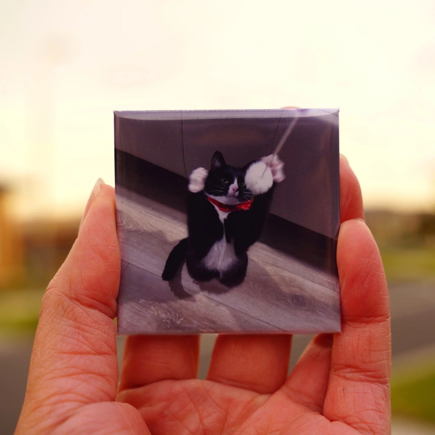 Hand Holding Custom Cat Photo Magnet Landscape Gift Decor Handcrafted Fridge Magnets