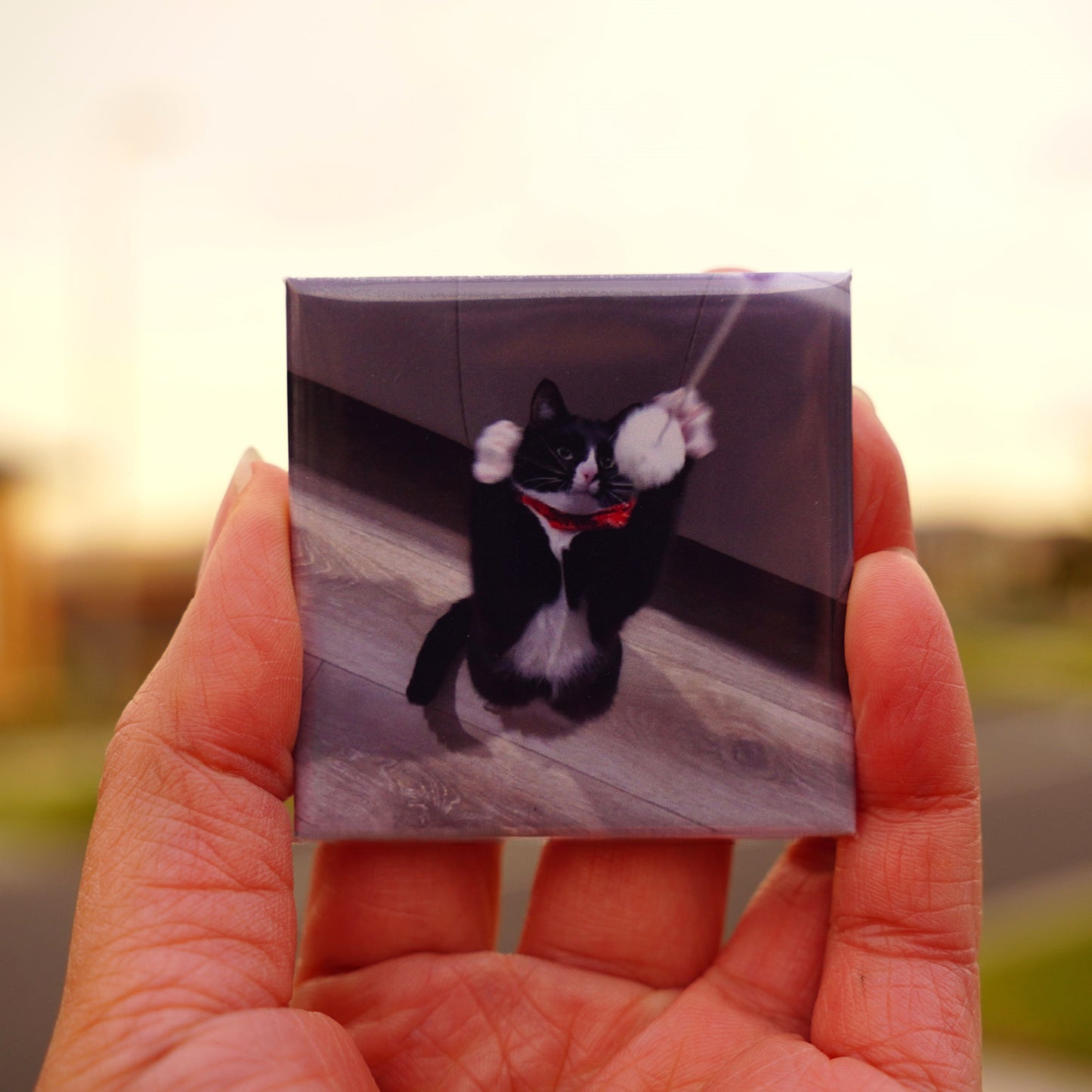 Custom Photo Printed Fridge Magnet by MiniCharms featuring a playful black and white cat with a red collar