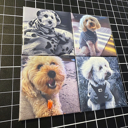 MiniCharms custom photo printed fridge magnet set featuring four square magnets with dog photos
